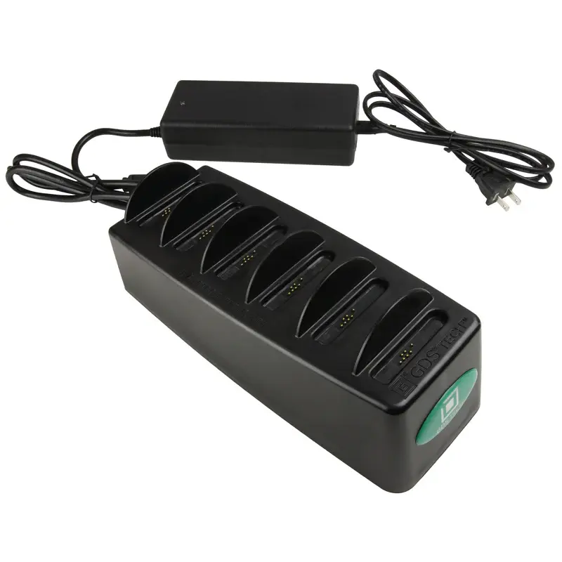 RAM-GDS-DOCK-6G1PD-NGU 1.webp