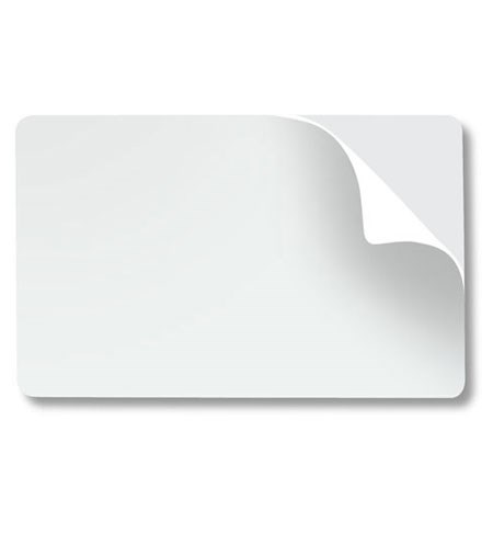 Zebra white composite cards, 30 mil, World Globe (500 cards)